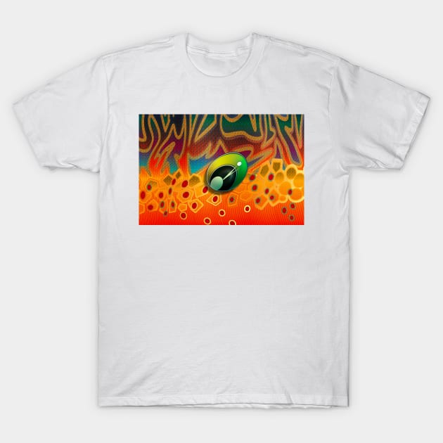 Brook Trout Eye T-Shirt by MikaelJenei